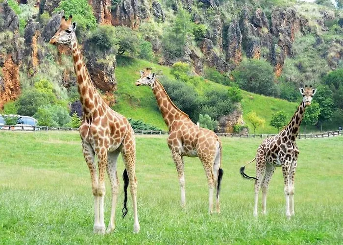 Apartamento La Granja En